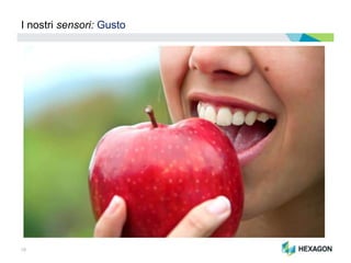 18
I nostri sensori: Gusto
 