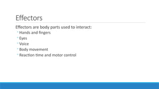 Human-Factors-in-Design that effects the UI.pptx