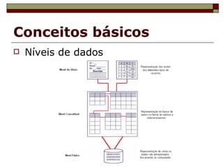 Conceitos básicos Níveis de dados 