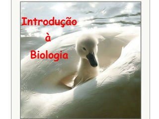Introdução à Biologia 