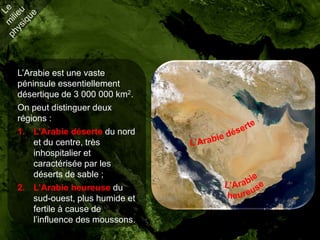 L’Arabie est une vaste
péninsule essentiellement
désertique de 3 000 000 km2.
On peut distinguer deux
régions :
1. L’Arabie déserte du nord
    et du centre, très
    inhospitalier et
    caractérisée par les
    déserts de sable ;
2. L’Arabie heureuse du
    sud-ouest, plus humide et
    fertile à cause de
    l’influence des moussons.
 