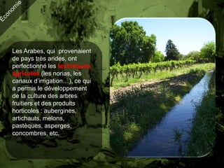 Les Arabes, qui provenaient
de pays très arides, ont
perfectionné les techniques
agricoles (les norias, les
canaux d’irrigation…), ce qui
a permis le développement
de la culture des arbres
fruitiers et des produits
horticoles : aubergines,
artichauts, melons,
pastèques, asperges,
concombres, etc.
 