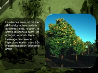 Les Arabes aussi introduit en
Al-Andalus autres produits
agricoles : le riz, le coton, le
safran, la canne à sucre, les
oranges, le mûrier blanc…
L’élevage du cheval et
l’apiculture étaient aussi très
importantes pour l’économie
arabe.
 