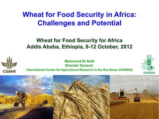 Wheat for Food Security in Africa:
   Challenges and Potential

    Wheat for Food Security for Africa
 Addis Ababa, Ethiopia, 8-12 October, 2012

                          Mahmoud El Solh
                          Director General
 International Center for Agricultural Research in the Dry Areas (ICARDA)
 