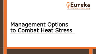 Management Options
to Combat Heat Stress
 