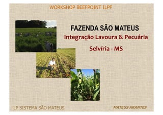 WORKSHOP BEEFPOINT ILPF
MATEUS ARANTESiLP SISTEMA SÃO MATEUS
FAZENDA SÃO MATEUS
Integração	
  Lavoura	
  &	
  Pecuária	
  
Selvíria	
  -­‐	
  MS	
  
 