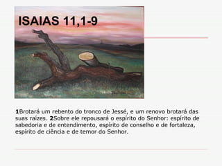 1 Brotará um rebento do tronco de Jessé, e um renovo brotará das suas raízes.  2 Sobre ele repousará o espírito do Senhor: espírito de sabedoria e de entendimento, espírito de conselho e de fortaleza, espírito de ciência e de temor do Senhor. ISAIAS 11,1-9 