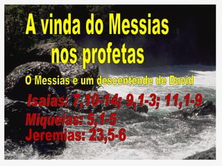 A vinda do Messias nos profetas Isaias: 7,10-14; 9,1-3; 11,1-9 Miqueias: 5,1-5 Jeremias: 23,5-6 O Messias é um descentende de David 