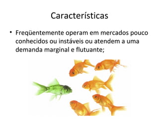 Características
• Freqüentemente operam em mercados pouco
  conhecidos ou instáveis ou atendem a uma
  demanda marginal e flutuante;
 