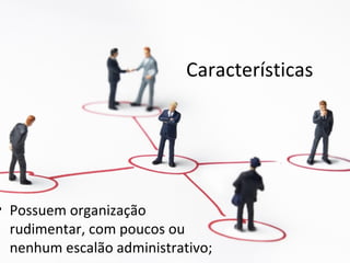 Características




• Possuem organização
  rudimentar, com poucos ou
  nenhum escalão administrativo;
 