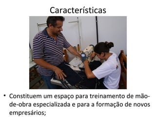 Características




• Constituem um espaço para treinamento de mão-
  de-obra especializada e para a formação de novos
  empresários;
 
