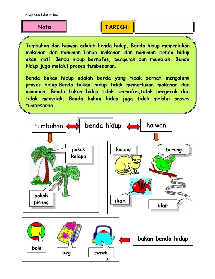 Modul pengajaran sains tahun 1 (versi bahasa malaysia)