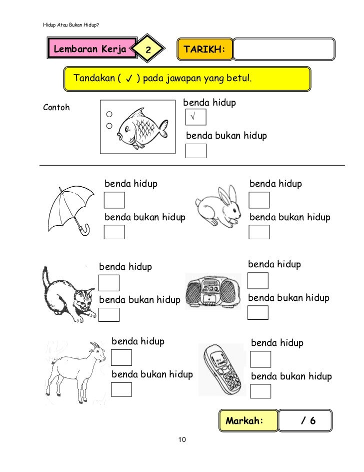 Modul pengajaran sains tahun 1 (versi bahasa malaysia)