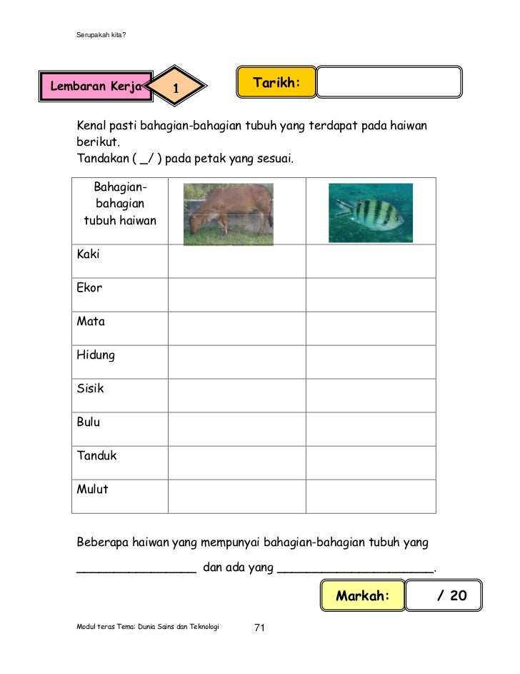 Modul pengajaran sains tahun 1 (versi bahasa malaysia)