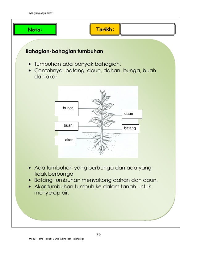 02 modul pengajaran sains tahun 1 (versi bahasa malaysia)