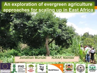 An exploration of evergreen agriculture
approaches for scaling up in East Africa
Jonathan Muriuki ICRAF, Nairobi
 