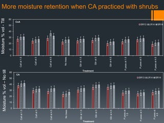 An exploration of evergreen agriculture approaches for scaling up in East Africa