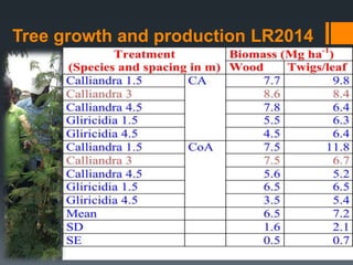 An exploration of evergreen agriculture approaches for scaling up in East Africa