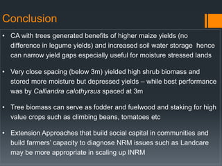 An exploration of evergreen agriculture approaches for scaling up in East Africa