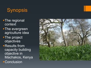 An exploration of evergreen agriculture approaches for scaling up in East Africa