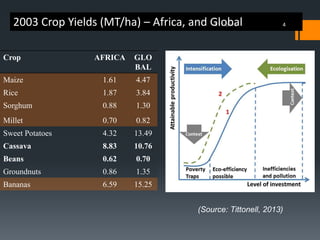 An exploration of evergreen agriculture approaches for scaling up in East Africa