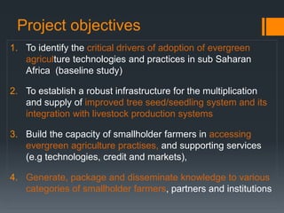 An exploration of evergreen agriculture approaches for scaling up in East Africa