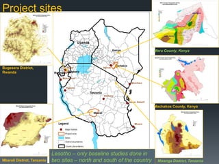 An exploration of evergreen agriculture approaches for scaling up in East Africa