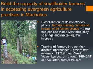 An exploration of evergreen agriculture approaches for scaling up in East Africa