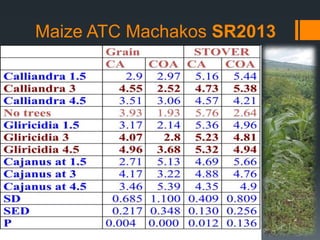 An exploration of evergreen agriculture approaches for scaling up in East Africa