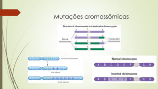 Mutações cromossômicas
 