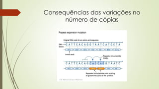 Consequências das variações no
número de cópias
 