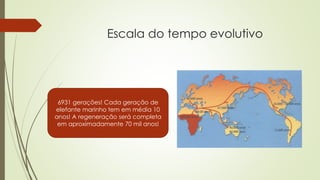 Escala do tempo evolutivo
6931 gerações! Cada geração de
elefante marinho tem em média 10
anos! A regeneração será completa
em aproximadamente 70 mil anos!
 