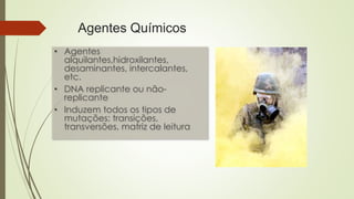 Agentes Químicos
• Agentes
alquilantes,hidroxilantes,
desaminantes, intercalantes,
etc.
• DNA replicante ou não-
replicante
• Induzem todos os tipos de
mutações: transições,
transversões, matriz de leitura
 