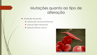 Mutações quanto ao tipo de
alteração
 Mutação de ponto:
 Substituição (Anemia falciforme)
 Inserção (Beta talassemia)
 Deleção (Fibrose cística)
 