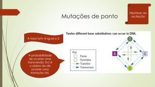 Mutações de ponto
A probabilidade
de ocorrer uma
transversão (tv) é
o dobro da de
ocorrer uma
transição (ts).
A taxa ts/tv é igual a 2.
Hipótese da
oscilação
 