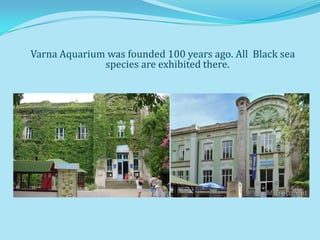 Varna Aquarium was founded 100 years ago. All Black sea
              species are exhibited there.
 
