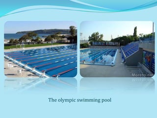The olympic swimming pool
 