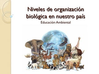 Niveles de organización
biológica en nuestro país
      Educación Ambiental
 