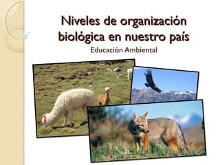 Niveles de organización
biológica en nuestro país
      Educación Ambiental
 