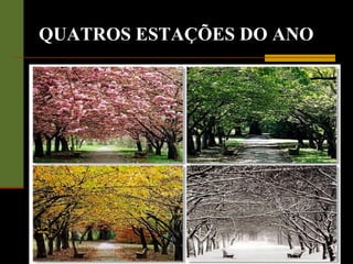 QUATROS ESTAÇÕES DO ANO
 