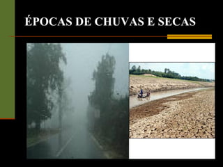 ÉPOCAS DE CHUVAS E SECAS
 
