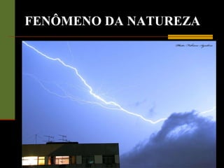 FENÔMENO DA NATUREZA 