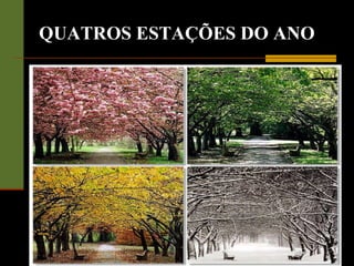 QUATROS ESTAÇÕES DO ANO 
