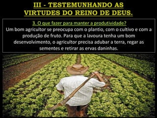 3. O que fazer para manter a produtividade?
Um bom agricultor se preocupa com o plantio, com o cultivo e com a
produção de fruto. Para que a lavoura tenha um bom
desenvolvimento, o agricultor precisa adubar a terra, regar as
sementes e retirar as ervas daninhas.
 