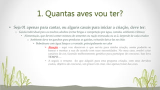 1. Quantas aves vou ter?
• Seja 01 apenas para cantar, ou alguns casais para iniciar a criação, deve ter:
o Gaiola individual para os machos adultos (evitar brigas e competição por água, comida, ambiente e fêmea)
• Alimentação, que deverá conter mistura de sementes ou ração extrusada ou as 2, depende de cada criador
o Ambiente deve ter ganchos para pendurar as gaiolas, evitando deixa-las no chão
• Bebedouro com água limpa e a vontade, principalmente no calor
• Atenção – aqui vou descrever o que serviu para minha criação, assim poderão se
basear e montar a sua de acordo com suas necessidades. No meu caso, resolvi criar
canários de cor, fazendo melhoramento genético para participar de concurso. Isso leva
TEMPO.....
• A seguir, o resumo do que adquiri para esta pequena criação, com seus devidos
custos, objetivo de concurso, um prazer em criar, não apenas tratar das aves.
 