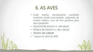 6. AS AVES
• Cada macho, devidamente escolhido
conforme minha necessidade, adquirido de
criador idôneo, aves de boa genética para
meu propósito.
• MACHO R$ 300,00 X 2 = R$ 600,00
• FÊMEA R$ 250,00 X 4 = R$ 1.000,00
• TOTAL: R$ 1.600,00
• * preços de abril de 2022
 