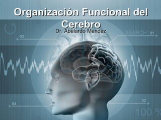Organización Funcional del
Cerebro
Dr. Abelardo Méndez
 