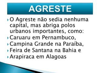 O Agreste não sedia nenhuma 
capital, mas abriga polos 
urbanos importantes, como: 
 Caruaru em Pernambuco, 
 Campina Grande na Paraíba, 
 Feira de Santana na Bahia e 
 Arapiraca em Alagoas 
 
