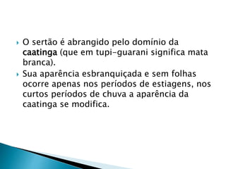  O sertão é abrangido pelo domínio da 
caatinga (que em tupi-guarani significa mata 
branca). 
 Sua aparência esbranquiçada e sem folhas 
ocorre apenas nos períodos de estiagens, nos 
curtos períodos de chuva a aparência da 
caatinga se modifica. 
 