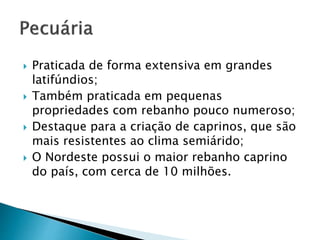  Praticada de forma extensiva em grandes 
latifúndios; 
 Também praticada em pequenas 
propriedades com rebanho pouco numeroso; 
 Destaque para a criação de caprinos, que são 
mais resistentes ao clima semiárido; 
 O Nordeste possui o maior rebanho caprino 
do país, com cerca de 10 milhões. 
 